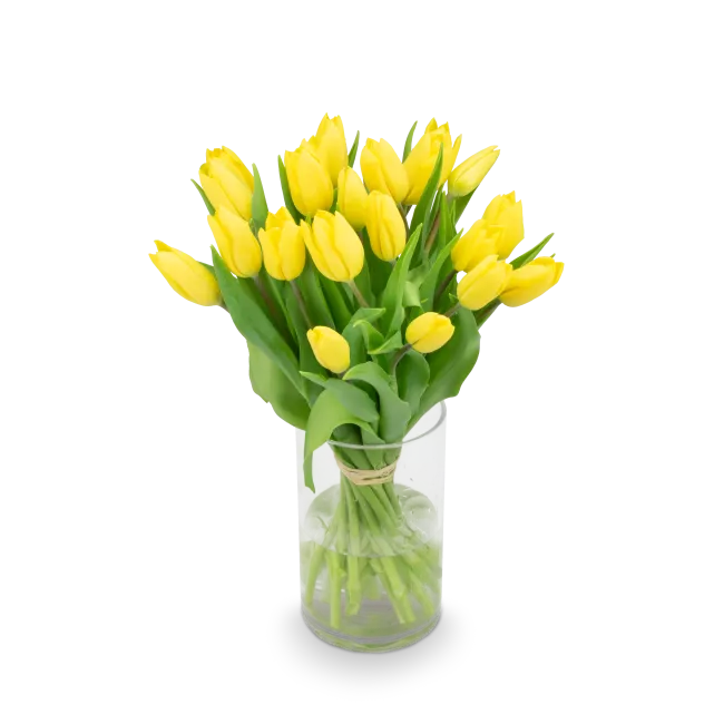 Kytice tulipánů